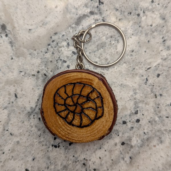 Fossil/Seashell Key Chain